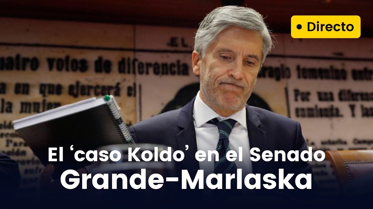 Comisión del 'caso Koldo' en el Senado (24/10/2024)