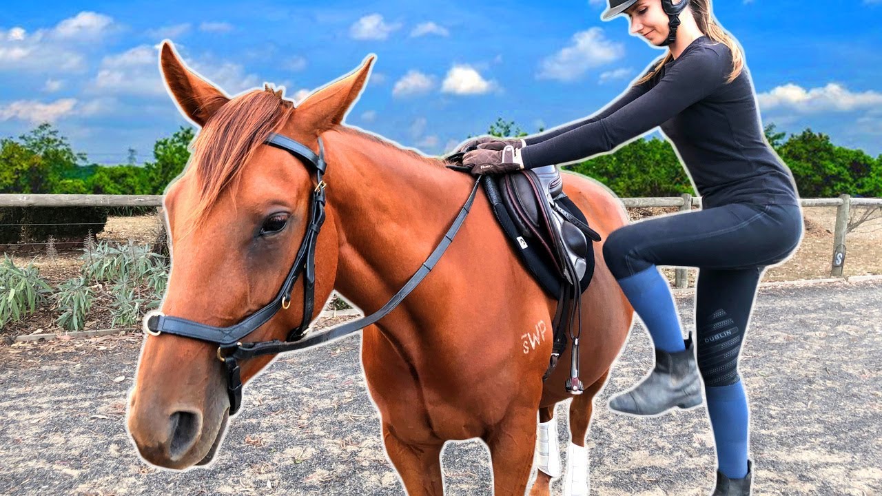 RIDING MY NEW HORSE BITLESS (first time ever!)