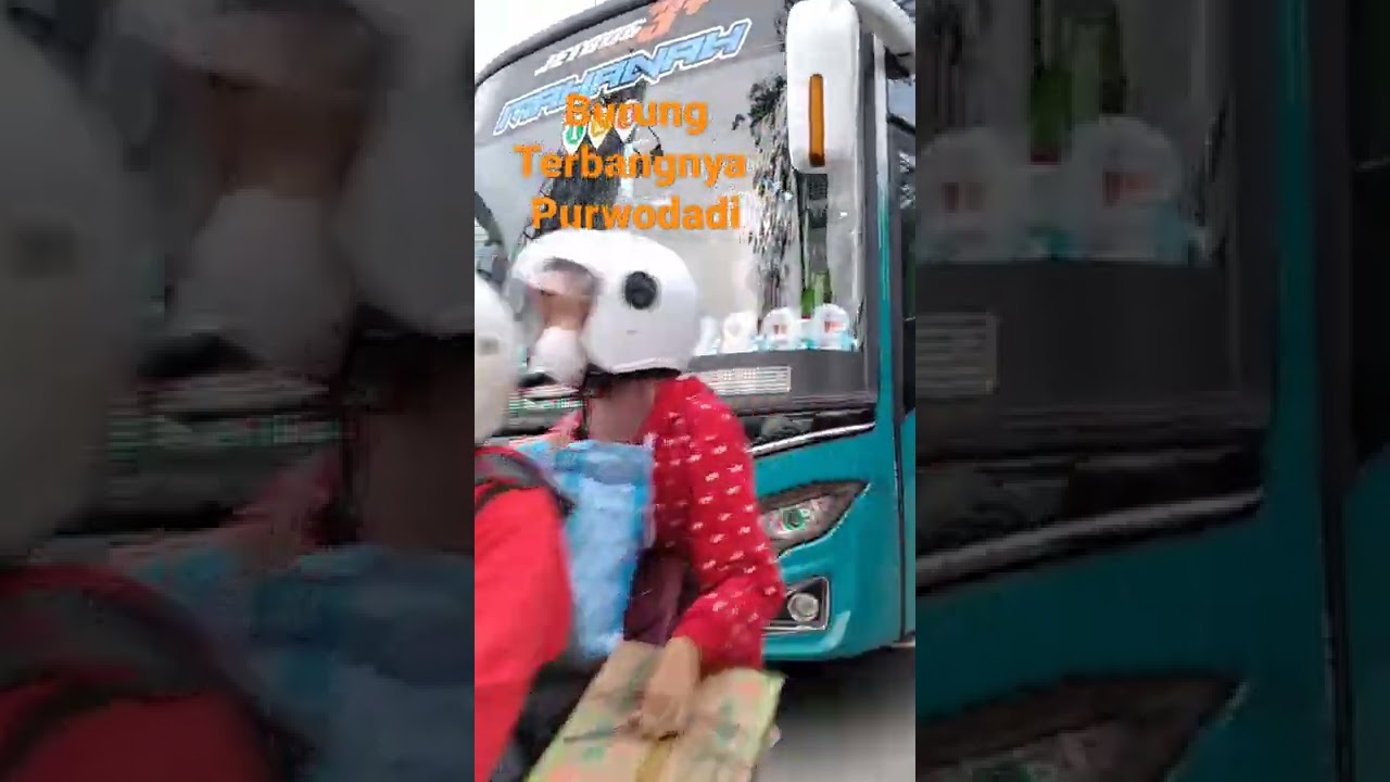Single glass barunya PO. GARUDA MAS#BUS MANIA