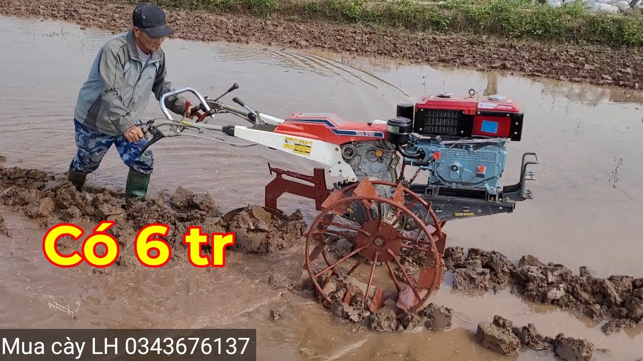 Lần đầu tiên bác đi cày.