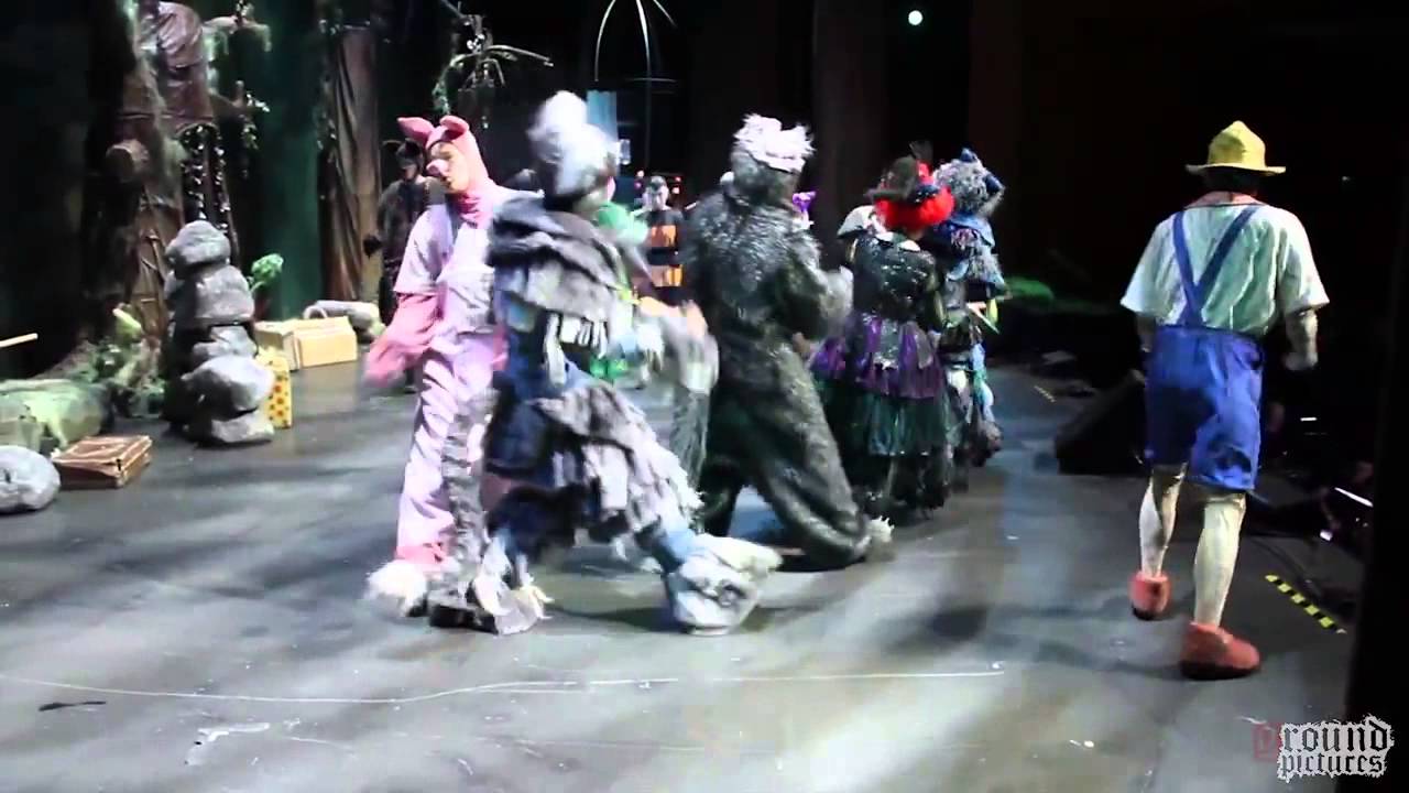 Friigilipp (Freak flag form musical Shrek), Rolf Roosalu (Pinocchio)