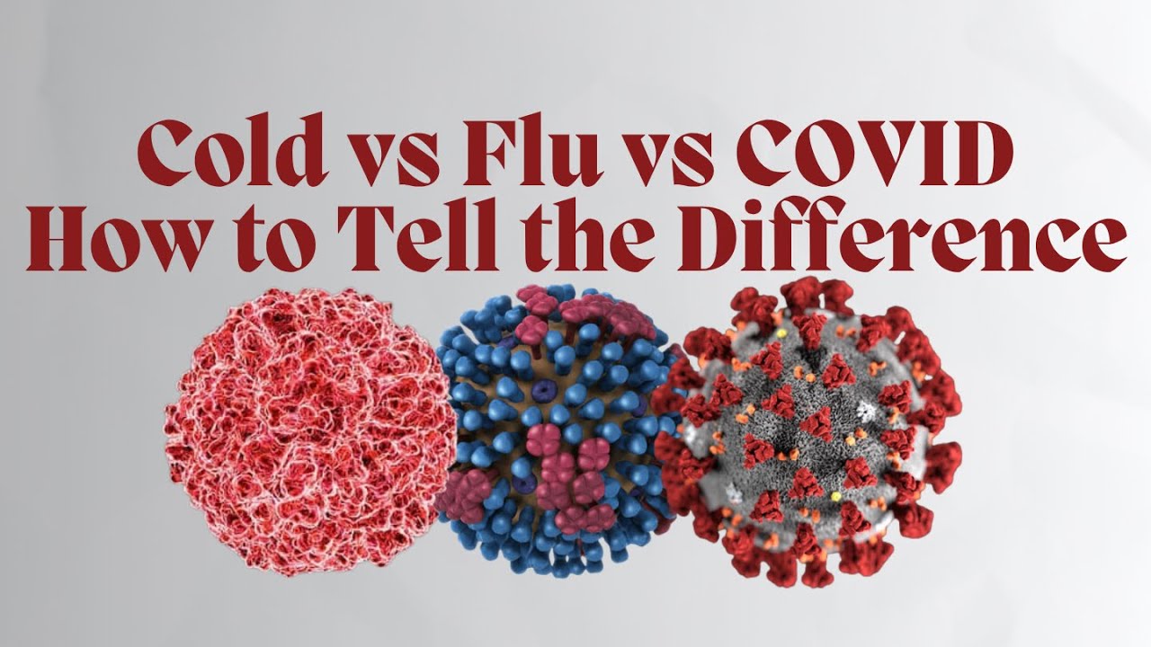 Cold Flu or COVID 19