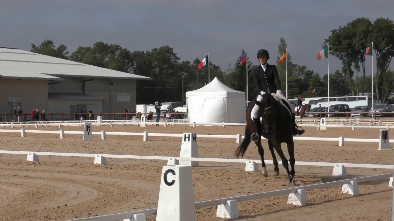 REPRISE DE DRESSAGE | Reprise Amateur 3 GP : Commentées par Isabelle Judet – Juge 5* Internationale