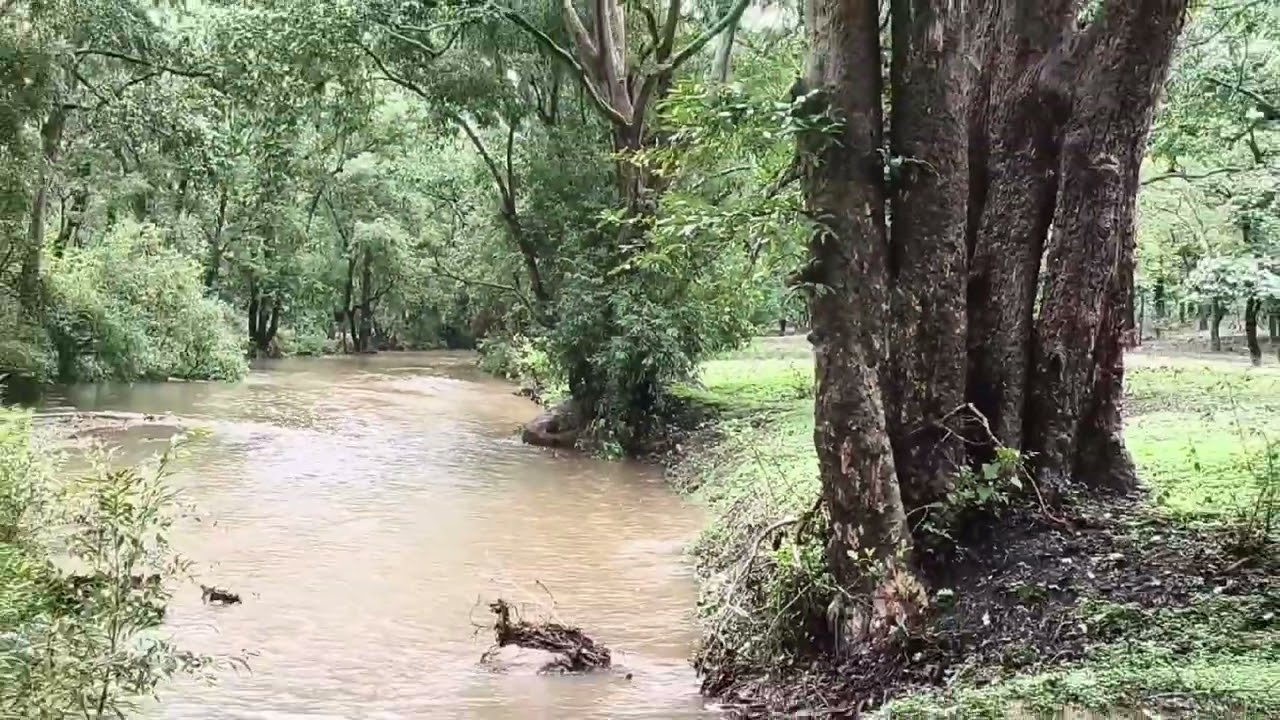 # KANHA NATIONAL PARK DRIVE FROM JABALPUR