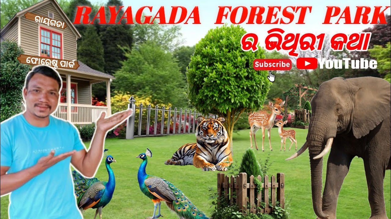 Rayagada Forest Park ରାୟଗଡା ଫୋରେଷ୍ଟ ପାର୍କ ର ଭିତ୍ତିରୀ କଥା Rayagada Ki Forest Park   📍