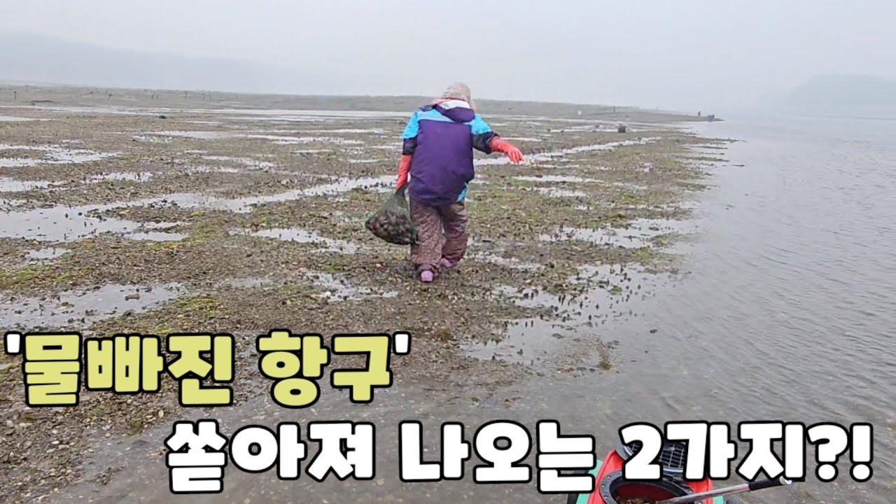 작은 항구아래 미친듯 나오는 2가지?! +먹방 ft.당암포구 2 Things You Must Catch Under the Harbour