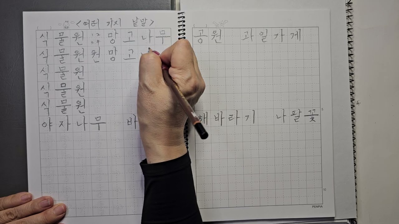 [283] 한글공부-여러 가지 낱말(8칸)#한글#Hangeul#한국어#korean#4B연필#한글예쁘게쓰기#LearningKorean