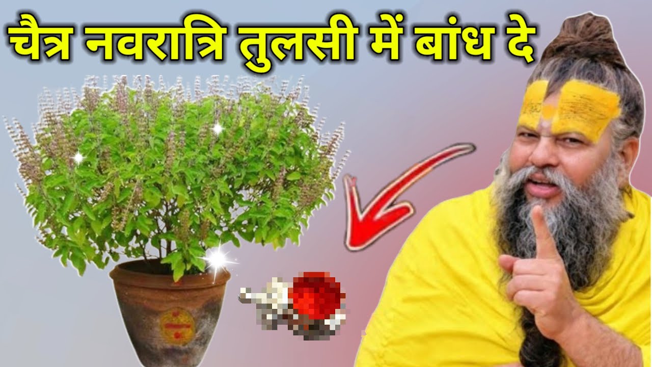 19 मार्च, नवरात्रि के दिन चुपचाप तुलसी के पौधे में बांध देना यह 1 चीज पैसा दौड़कर आएगा #premanandji