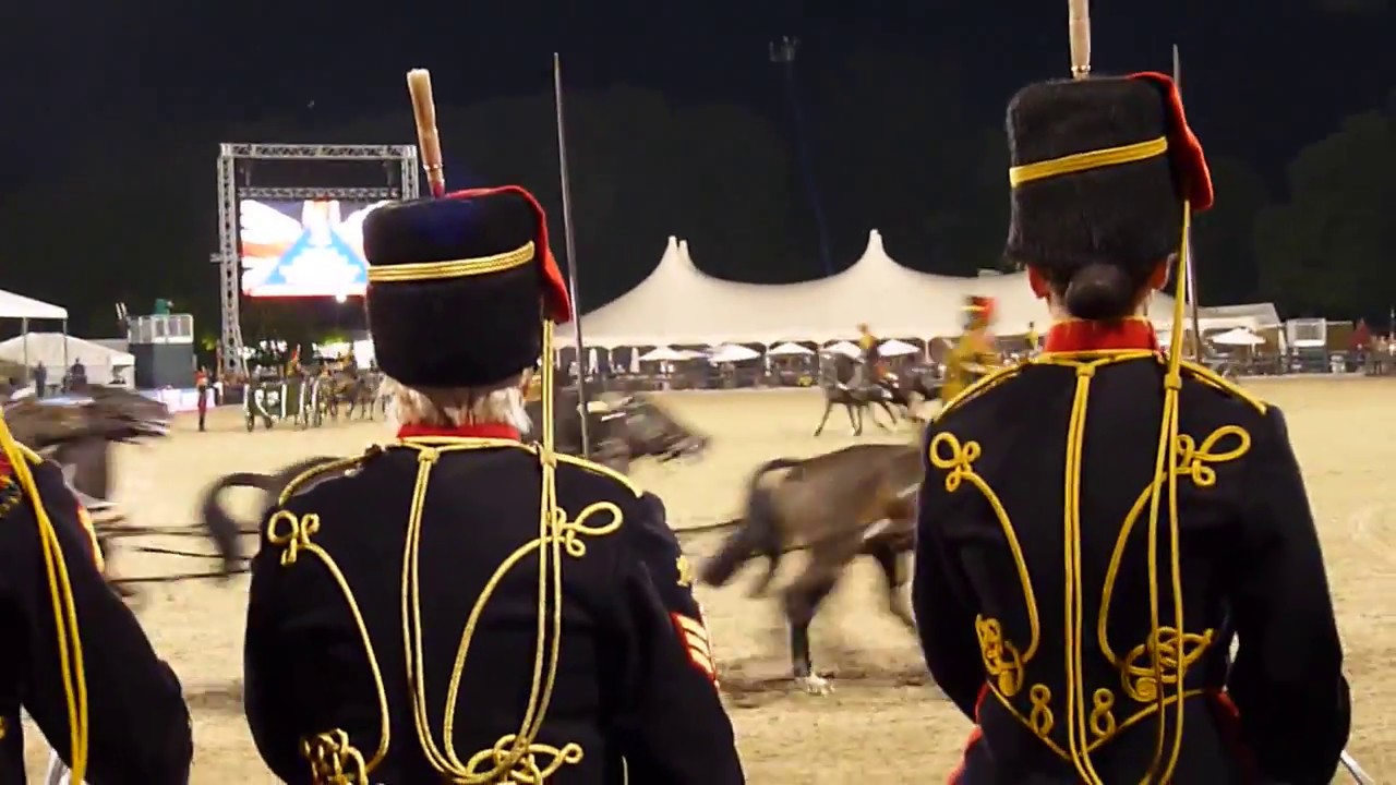 Musical Drive of The King’s Troop  Royal Horse Artillery