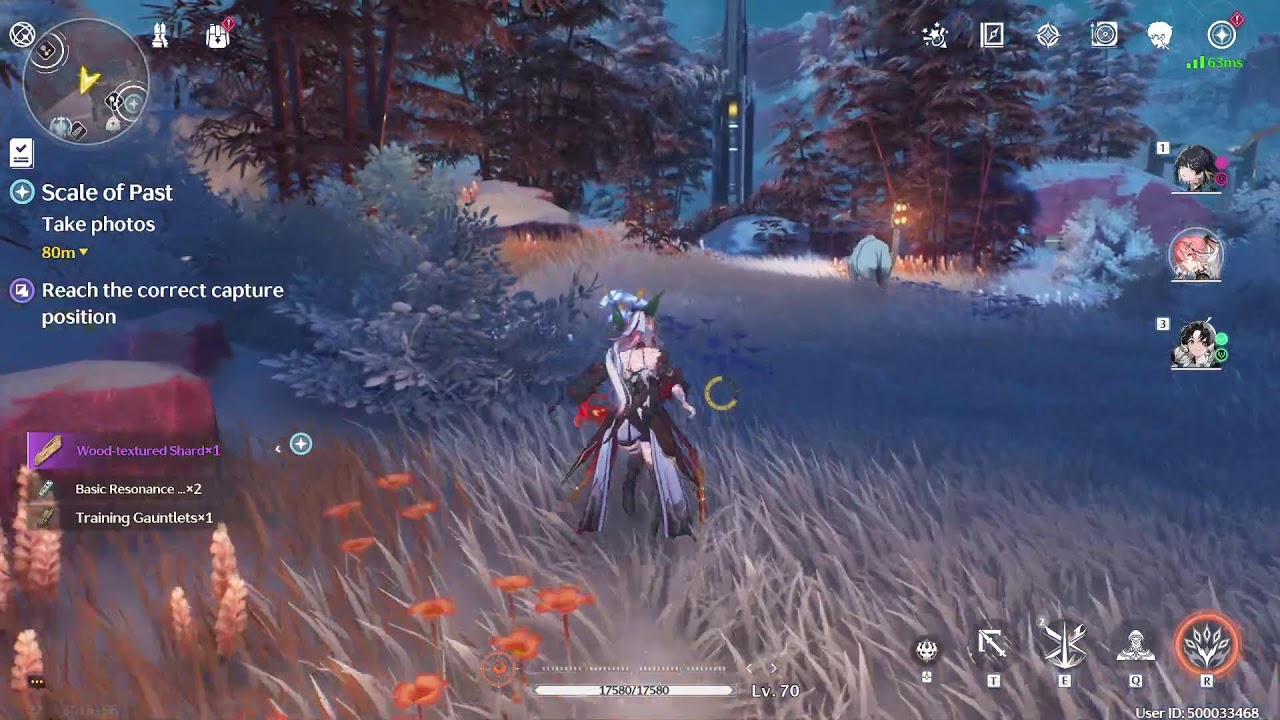 Wuthering waves Farming for shore keeper before she leaves