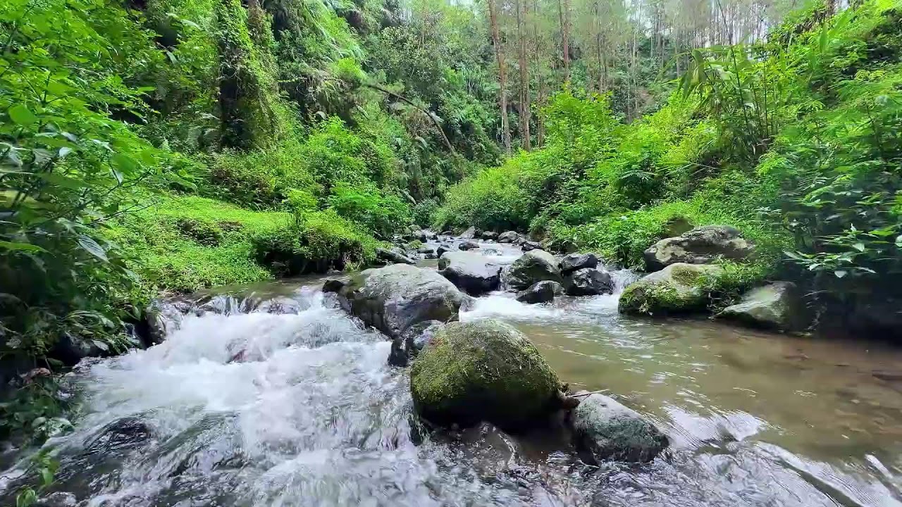 Calming river sound near peaceful tree-lined river guiding calm breathing into deep sleep mode
