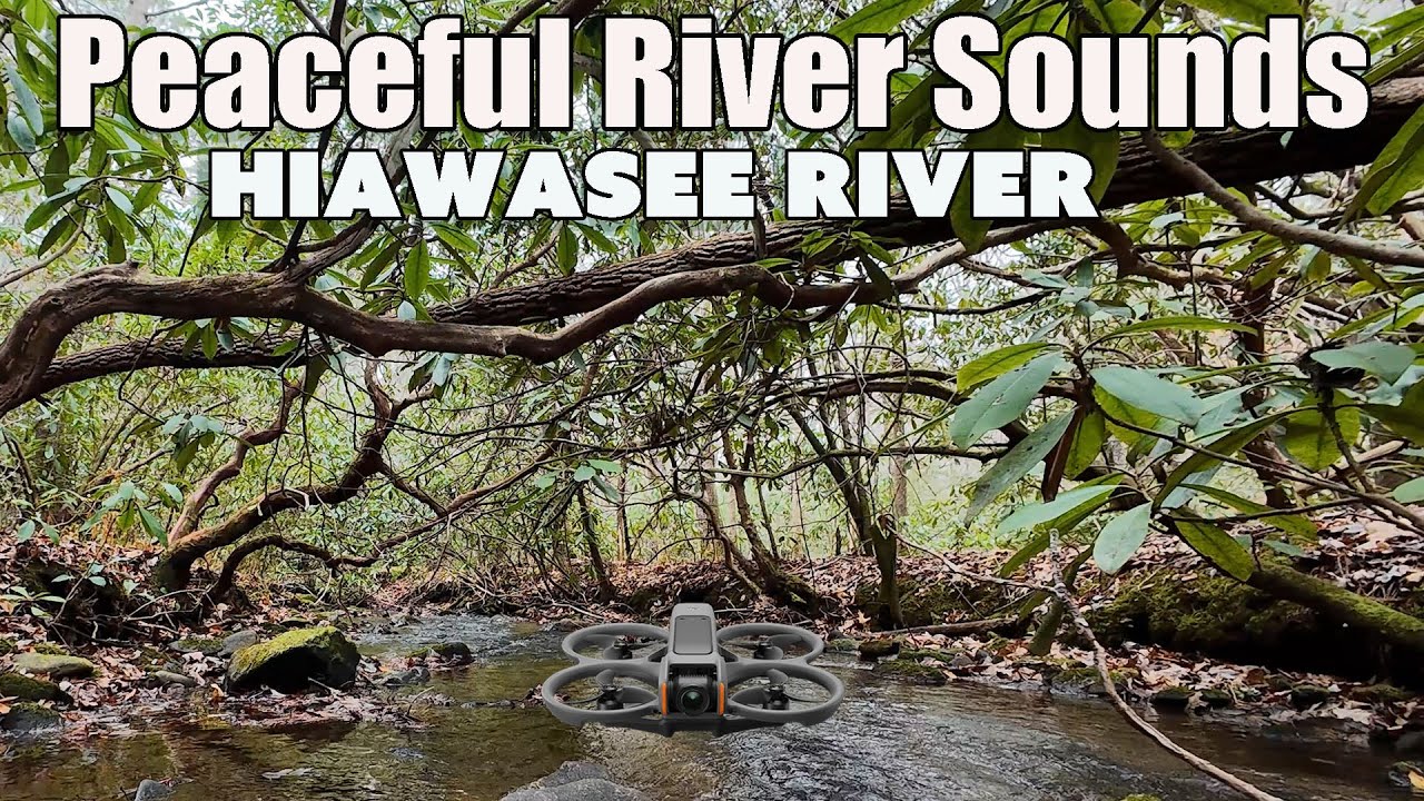 Listen to This Peaceful Flight Over The Hiawassee River in Georgia