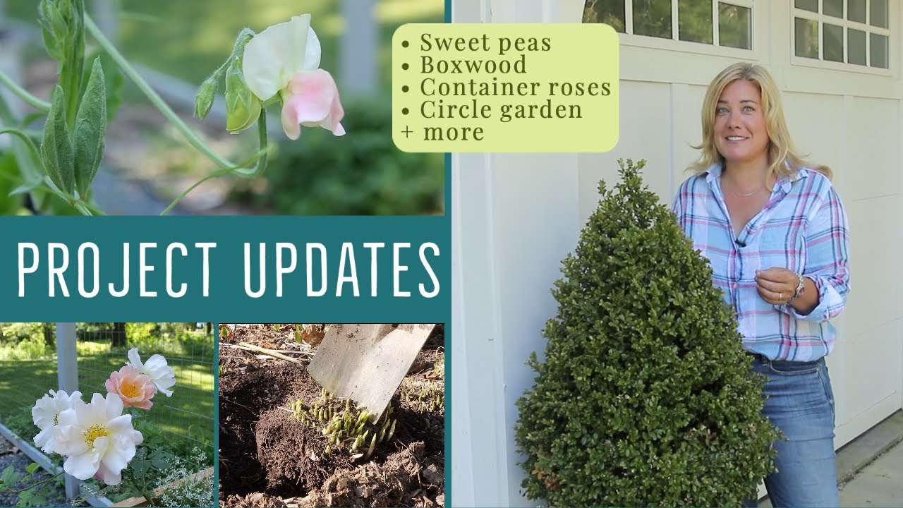 Project updates | The good, the eh and the bad | The Impatient Gardener