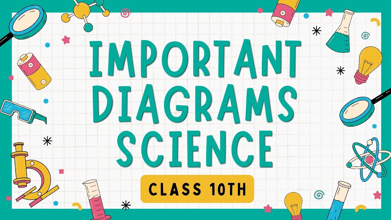 Important diagrams #ncert #class10 #science #cbse #boardexampreparation #revision #education