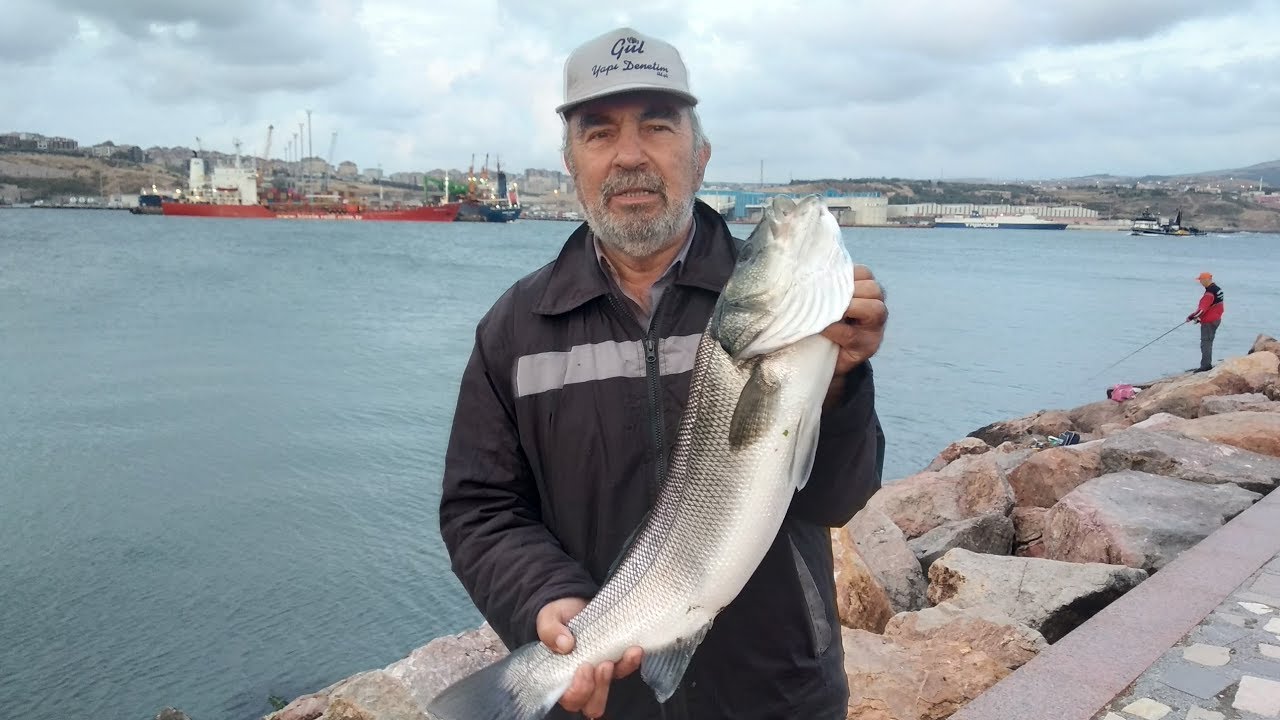 ÜÇ BUÇUK KİLOLUK LEVREK AVI  BANDIRMA  SAHİL 13 EYLÜL 2019