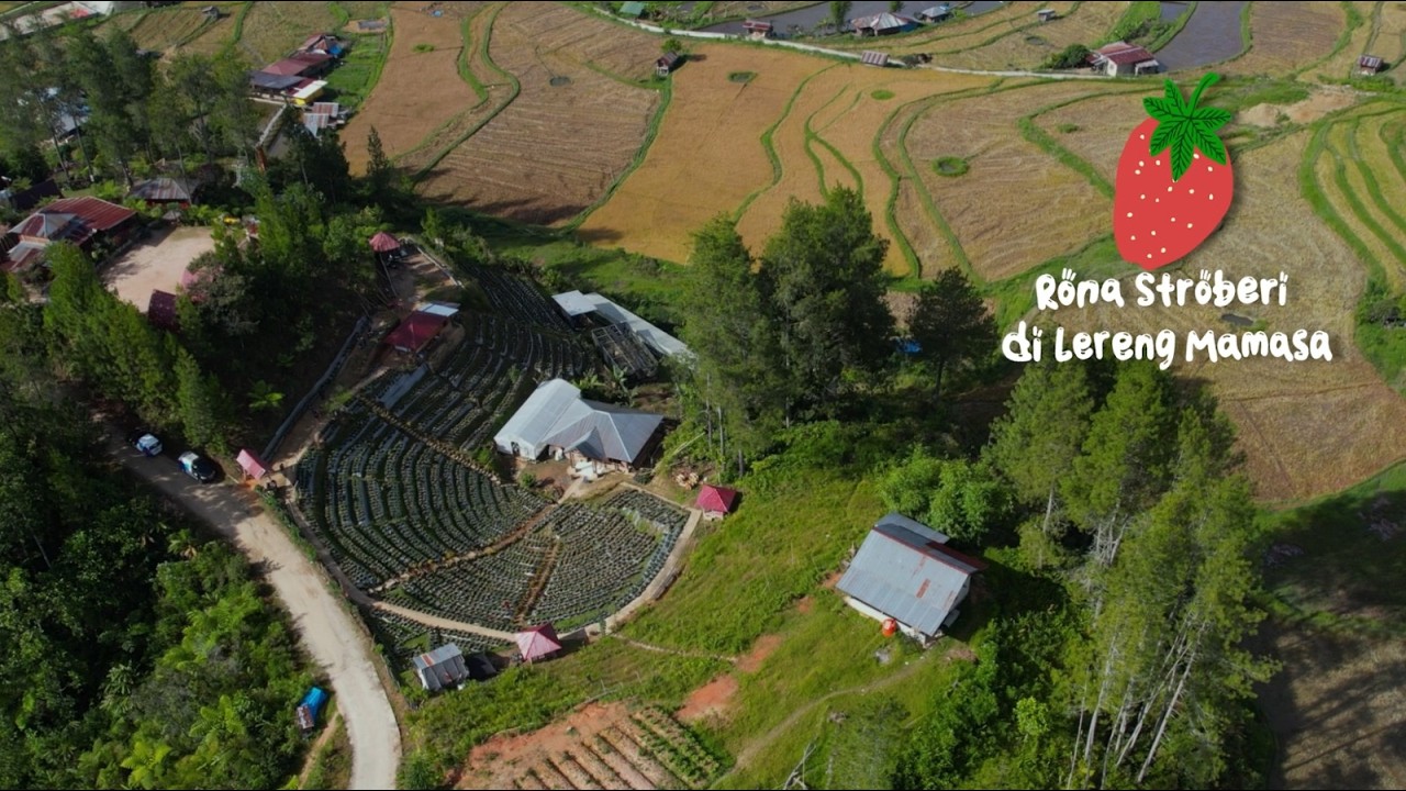 BUDIDAYA 