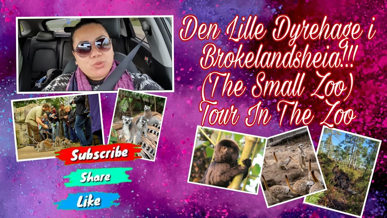 Brokelandsheia Lille Dyrehage (Small Zoo), Norway Trip!!!