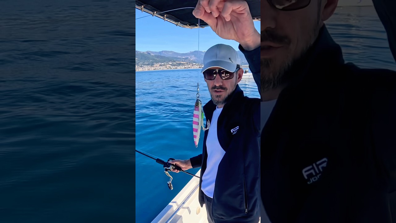 Amberjakc 20 kg