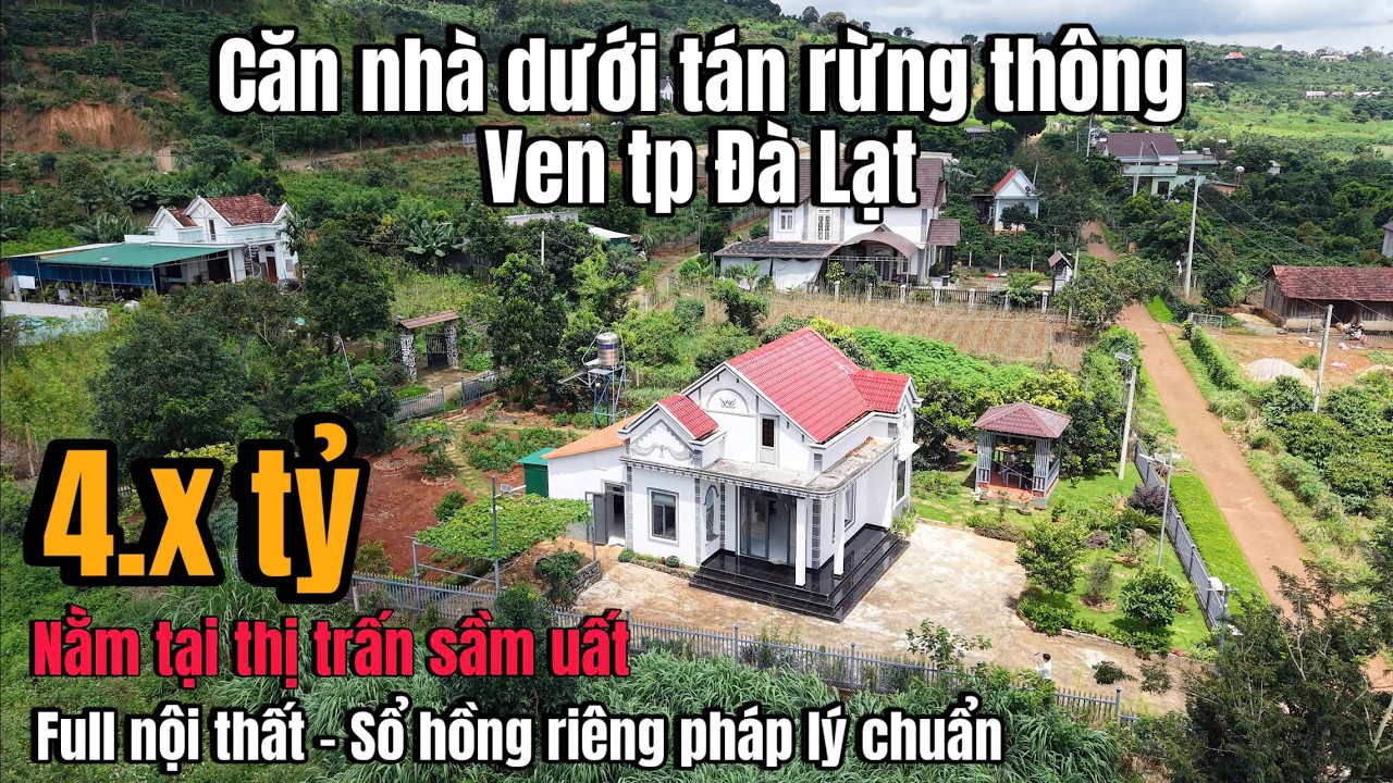 Chill cùng với căn nhà ven Đà Lạt xung quanh là rừng thông !
