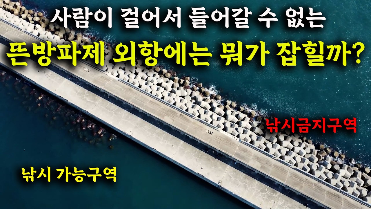 살다 살다 이렇게 재밌는 낚시는 처음입니다!! 대물 볼락이 쉴 틈 없이 잡히는 밤 낚시! [골병낚시]