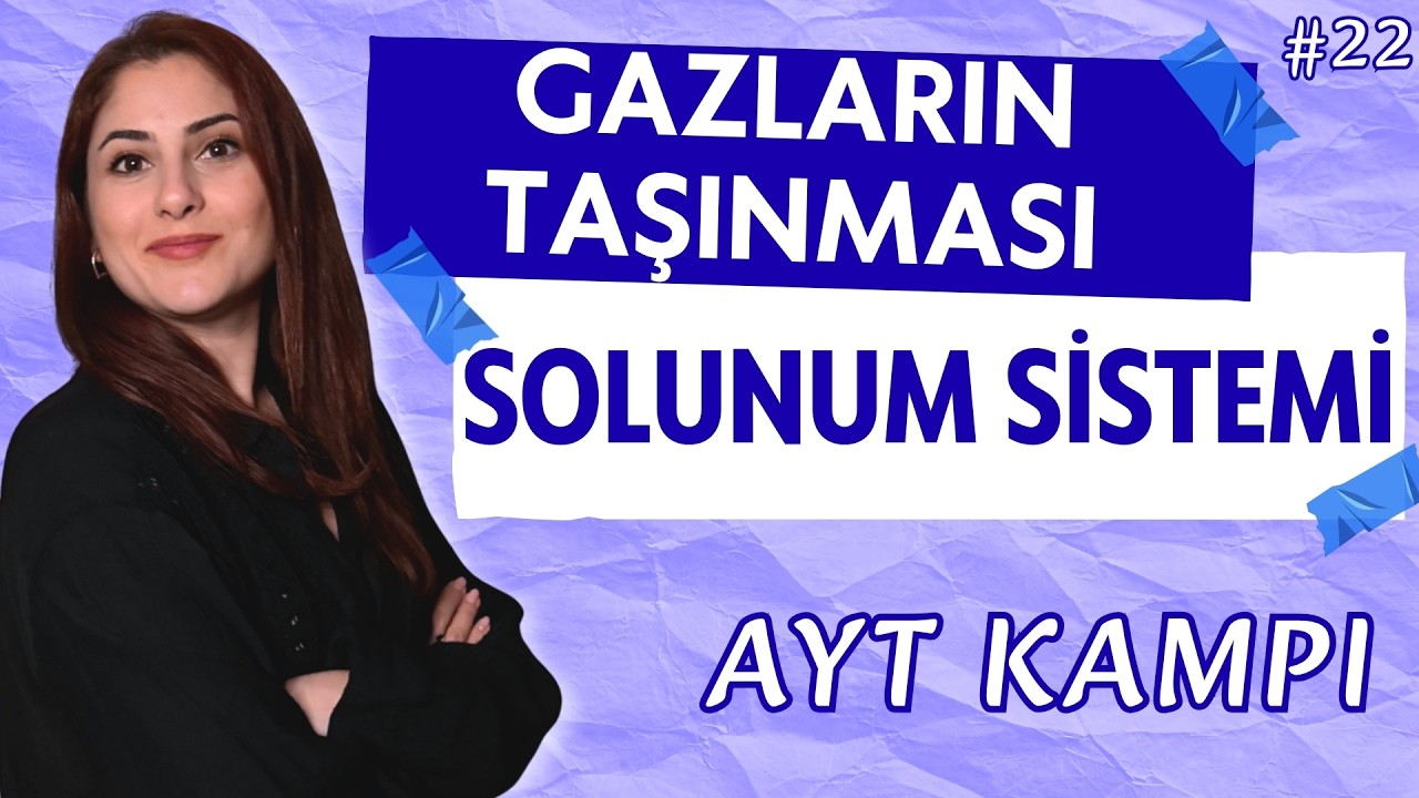 22) SOLUNUM SİSTEMİ: Alveollerden Hemoglobine Yolculuk (Tek Videoda) (AYT 2026)