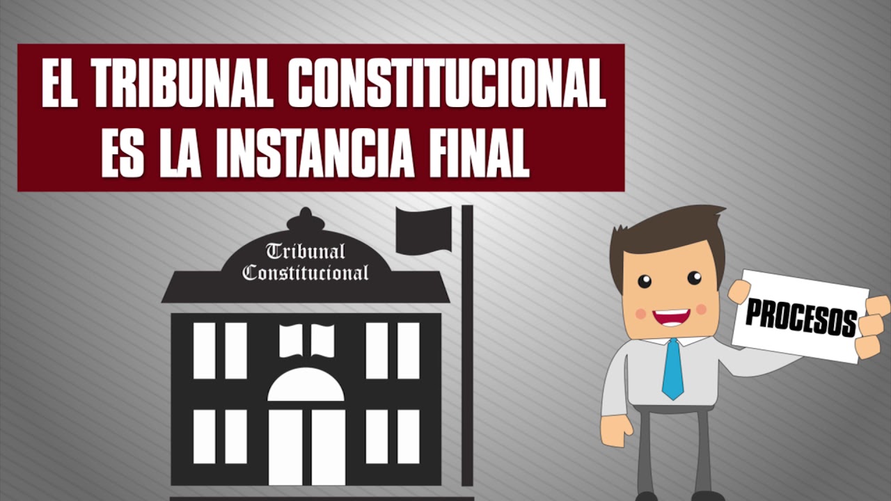 Conociendo el Tribunal Constitucional