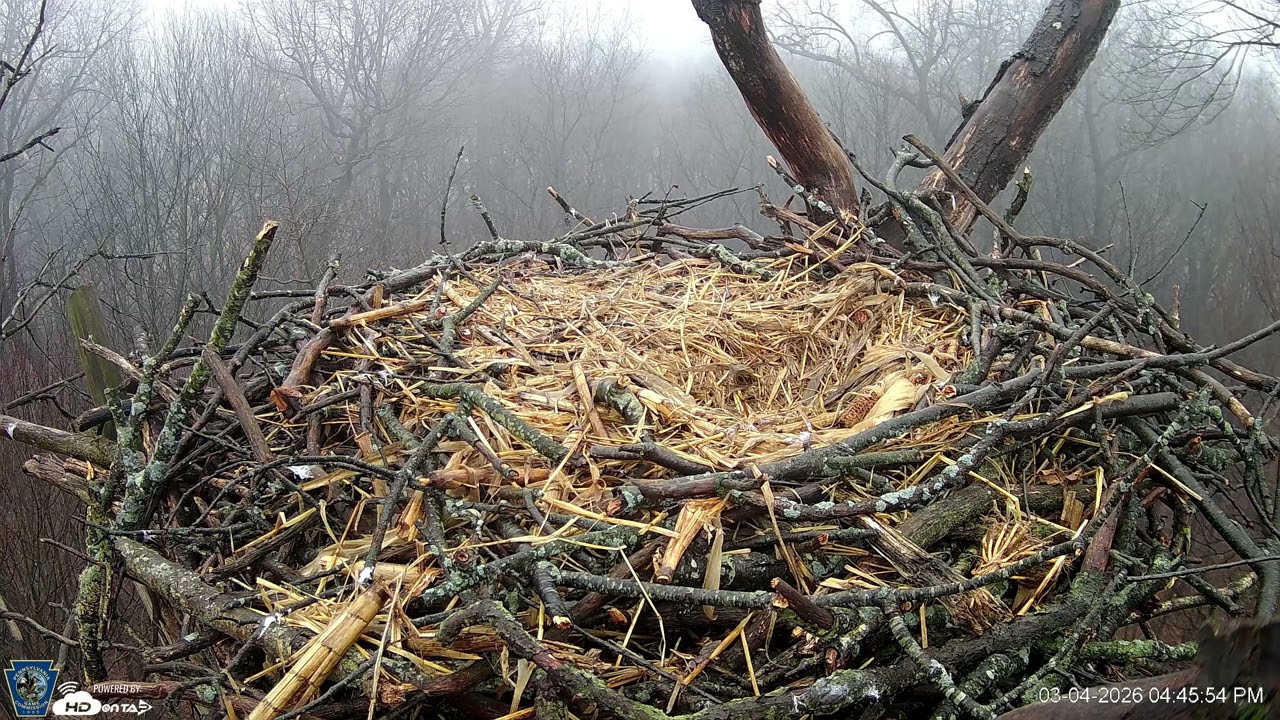 Hanover Eagles Live Cam   HDOnTap — Mozilla Firefox 2026 03 04 16 46 27