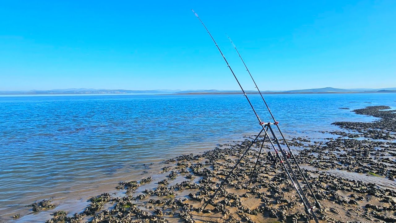 Fishing low water in Morecambe Bay