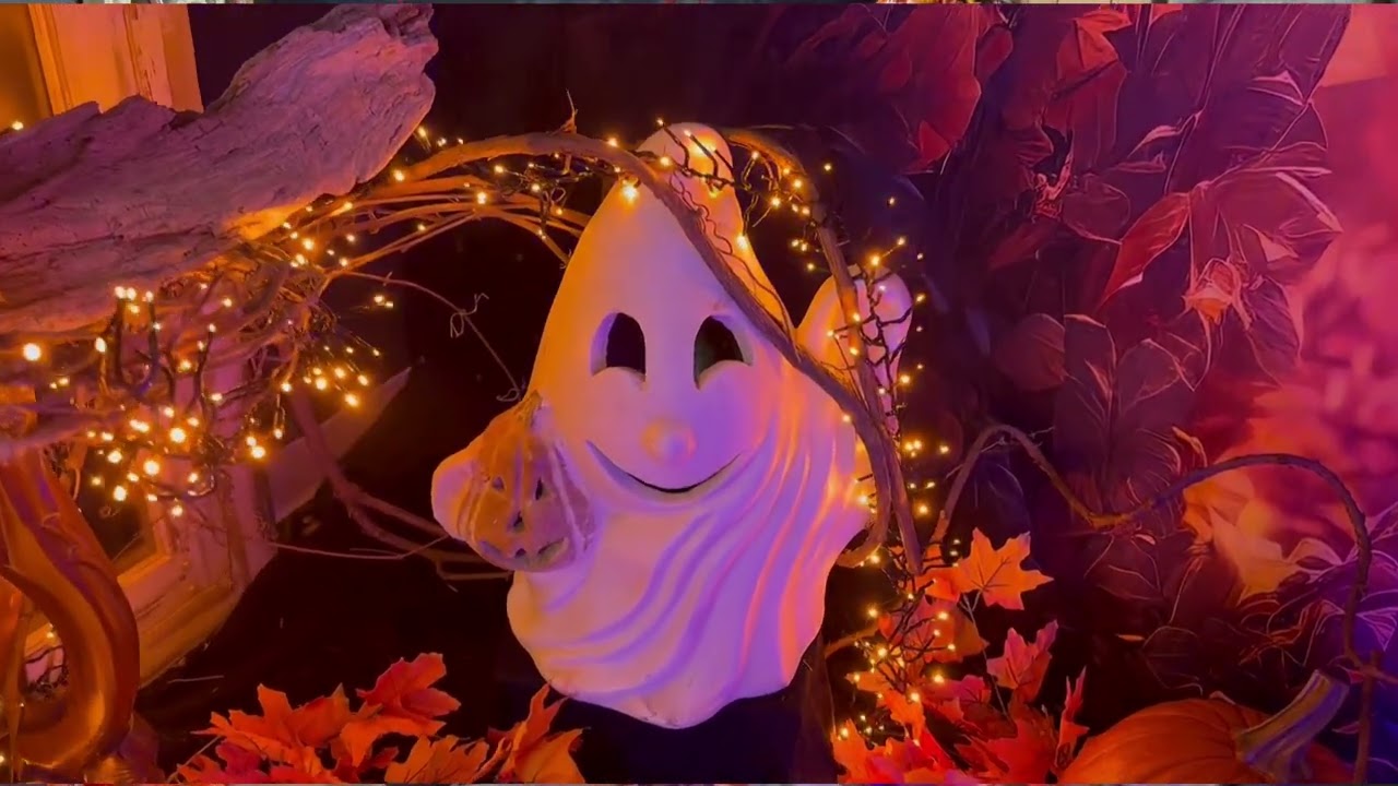 Trees n Trends - New Halloween Lights and Decor
