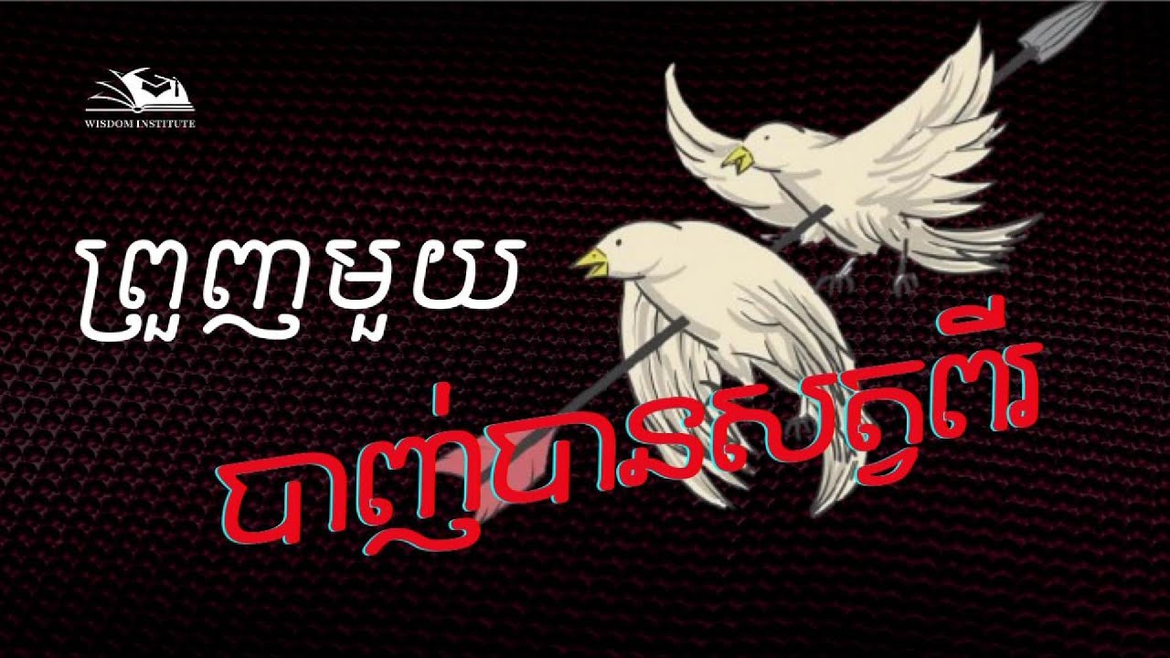 ព្រួញមួយបាញ់បានសត្វពីរ |​ Chinese Idiom| 一石二鸟