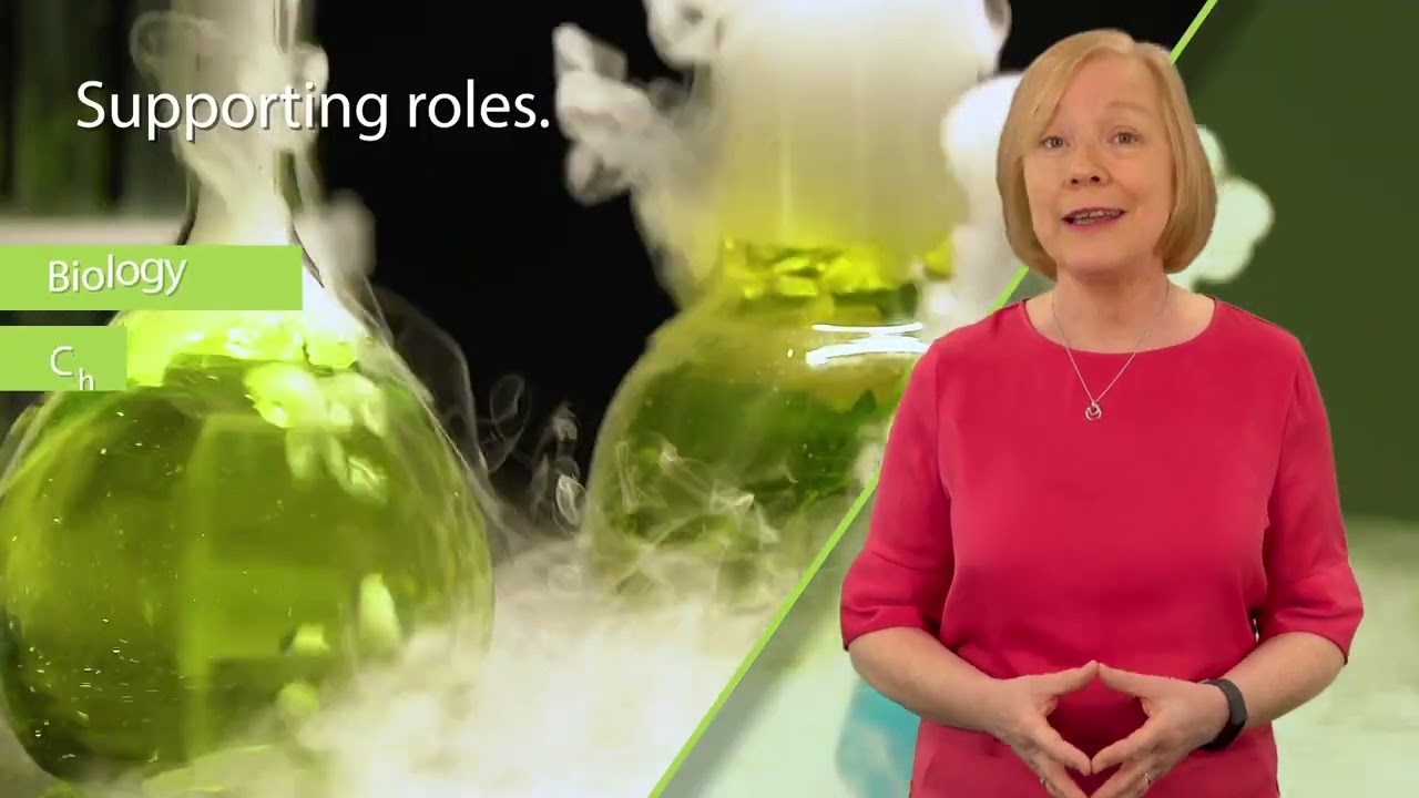 Life Sciences - LLEP World of Work