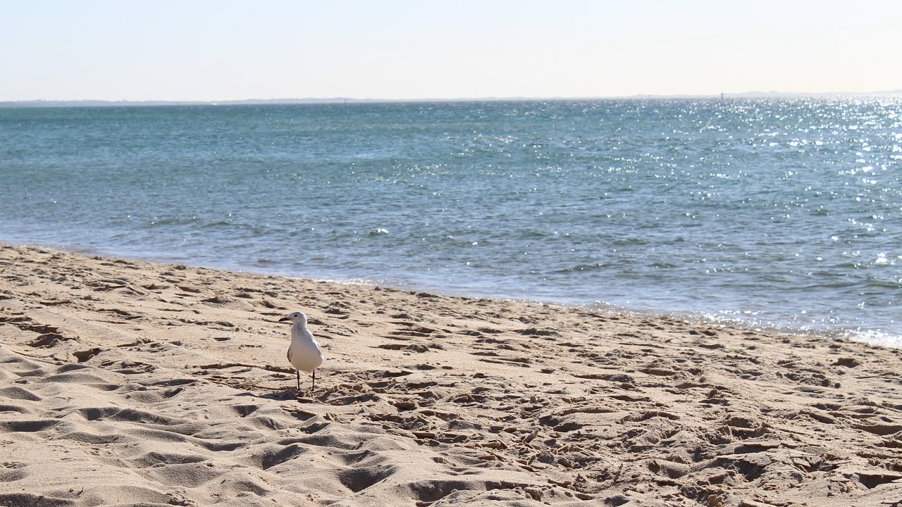 Interior Designer's Seaside Escape: A Tour of Mornington Peninsula's Beach House
