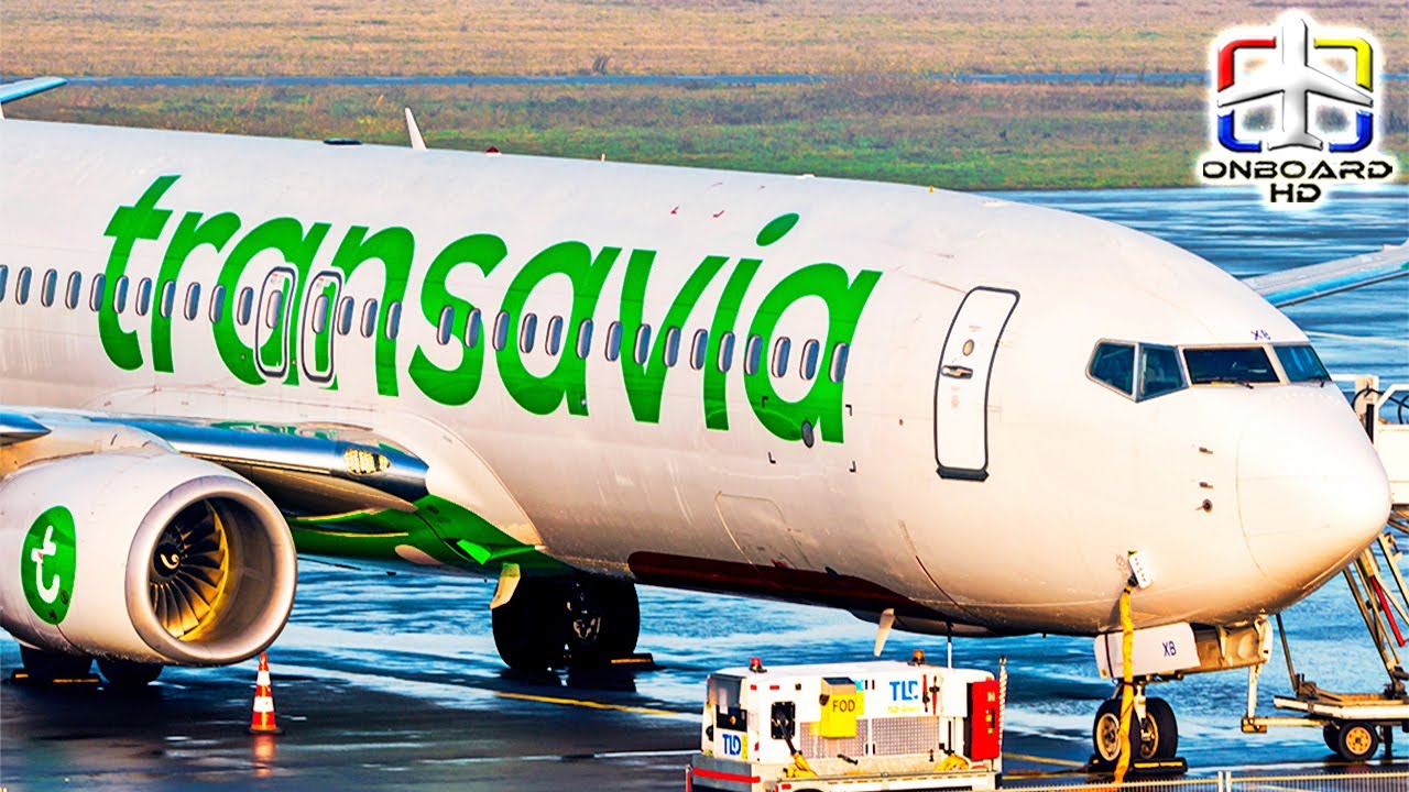 TRIP REPORT | What a Breakfast! Top Value! ツ | Transavia Boeing 737 | Mallorca to Amsterdam