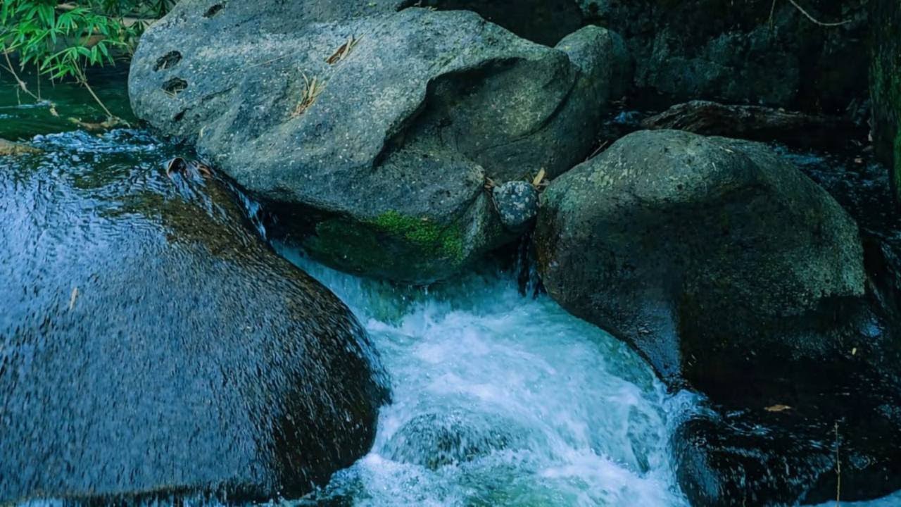 Waterfall Gentle River Sound in forest , Waterfall Sounds, Flowing Water, White Noise for Sleep