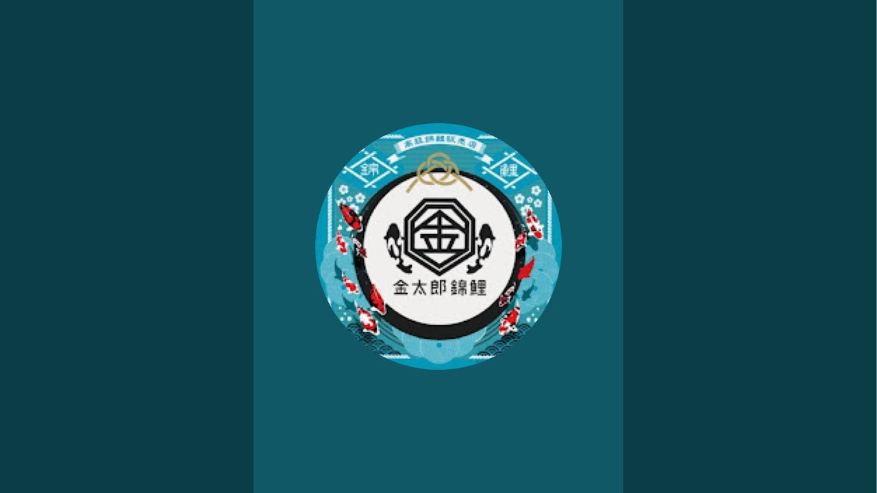 【金太郎錦鯉】新しいライブです！