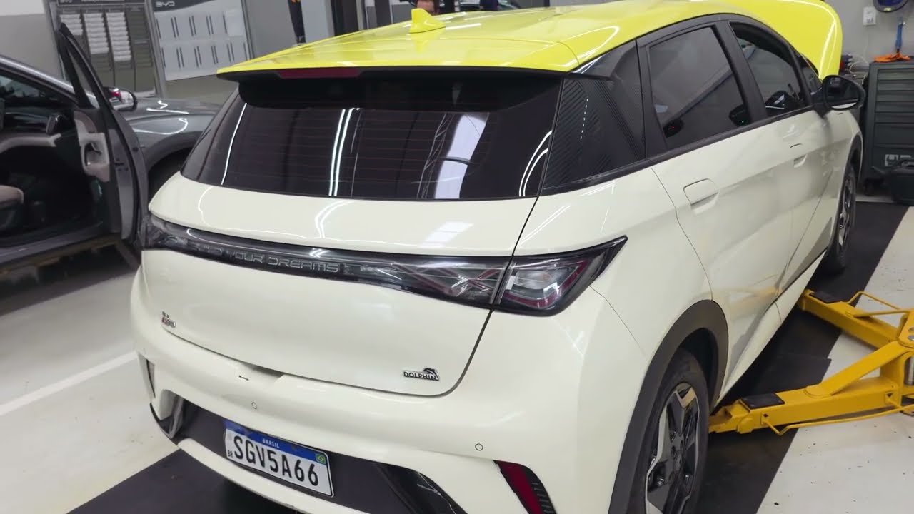 BYD Dolphin 320 mil km de revisão 