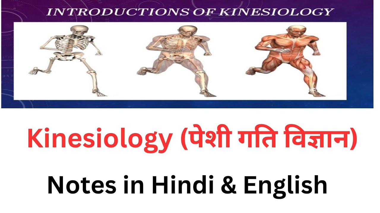 Kinesiology (पेशी गति विज्ञान ) / Meaning , Definition and Basic Concept / B.P.Ed , B.P.E.S , M.P.Ed