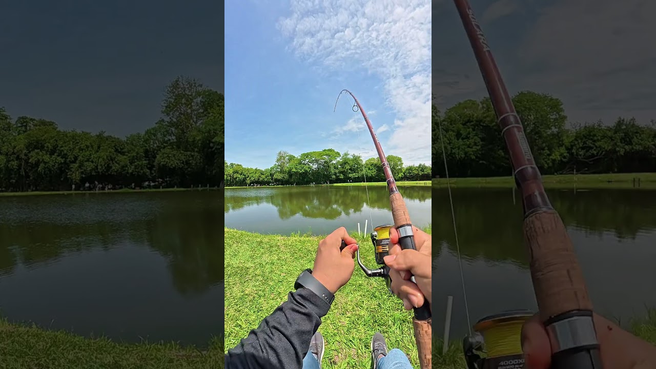 Este lago esta lleno de solo peces gigantes  #pesca #fishing #AventuraExtrema