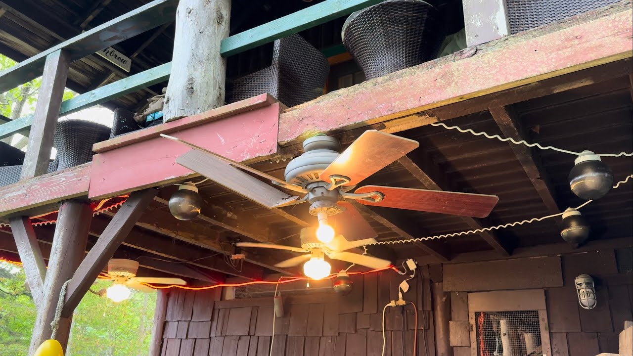 Ceiling Fan Destruction #92