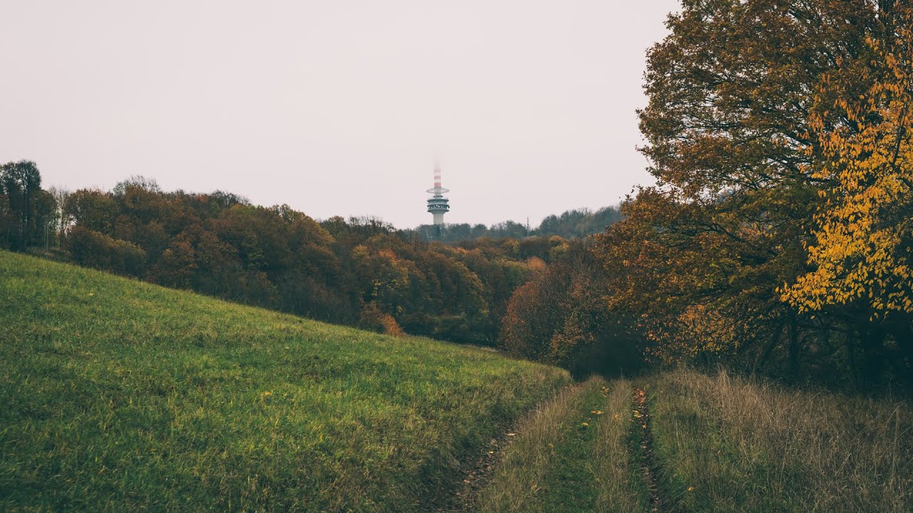 Buková hora :: Fotovlog # 125 :: Krajinářská fotografie s Fuji X-T5