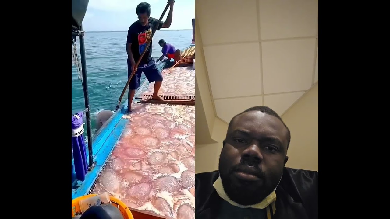 The world most dangerous jobs 