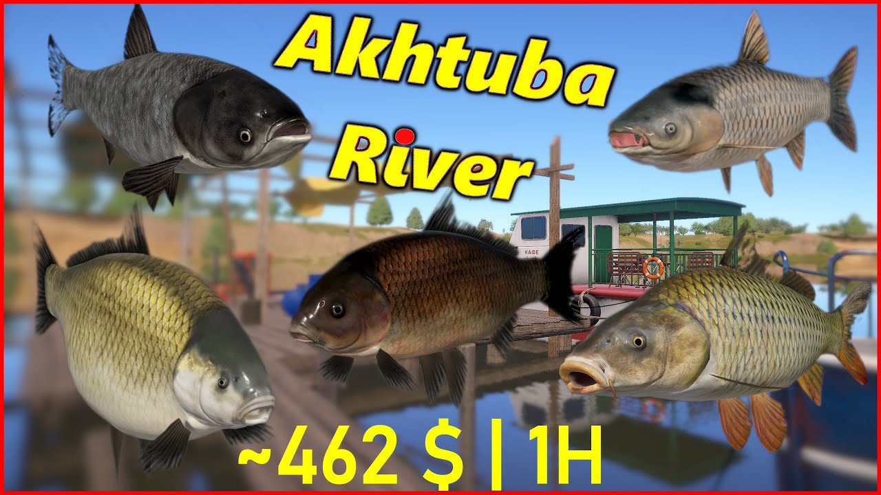 Russian Fishing 4 very active spot Akhtuba River NO PVA rf4  #53 #mjplay