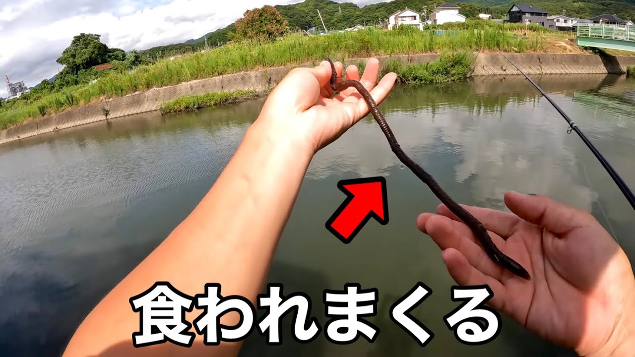 ロングワームの画期的なセッティング思いついてやってみたら釣れすぎました
