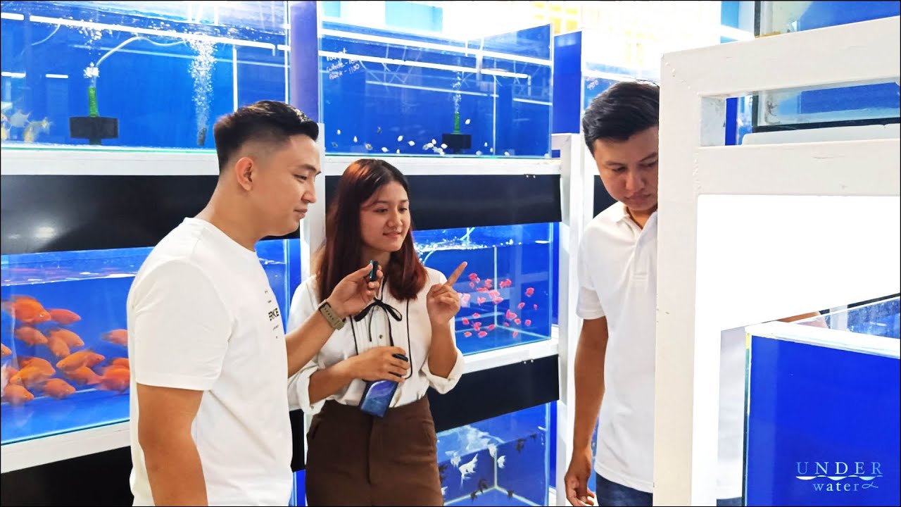 I went to buy fancy fish for our channel's lucky girl.