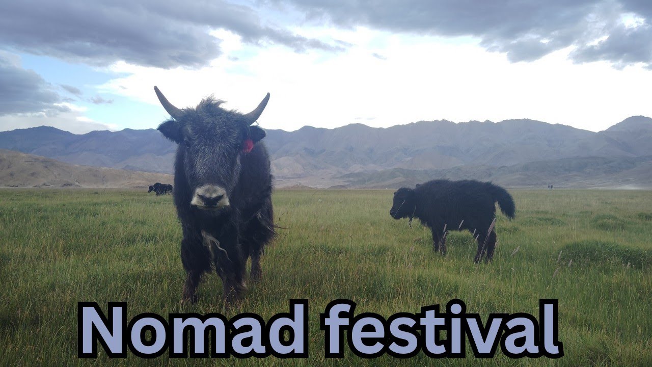 Yaks, goats and crafts