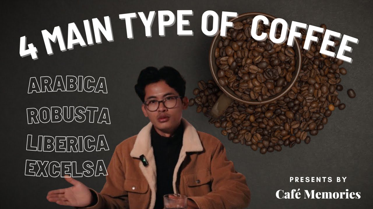 TYPE OF COFFEE BEAN IN THE WORLD EXPLAIN!