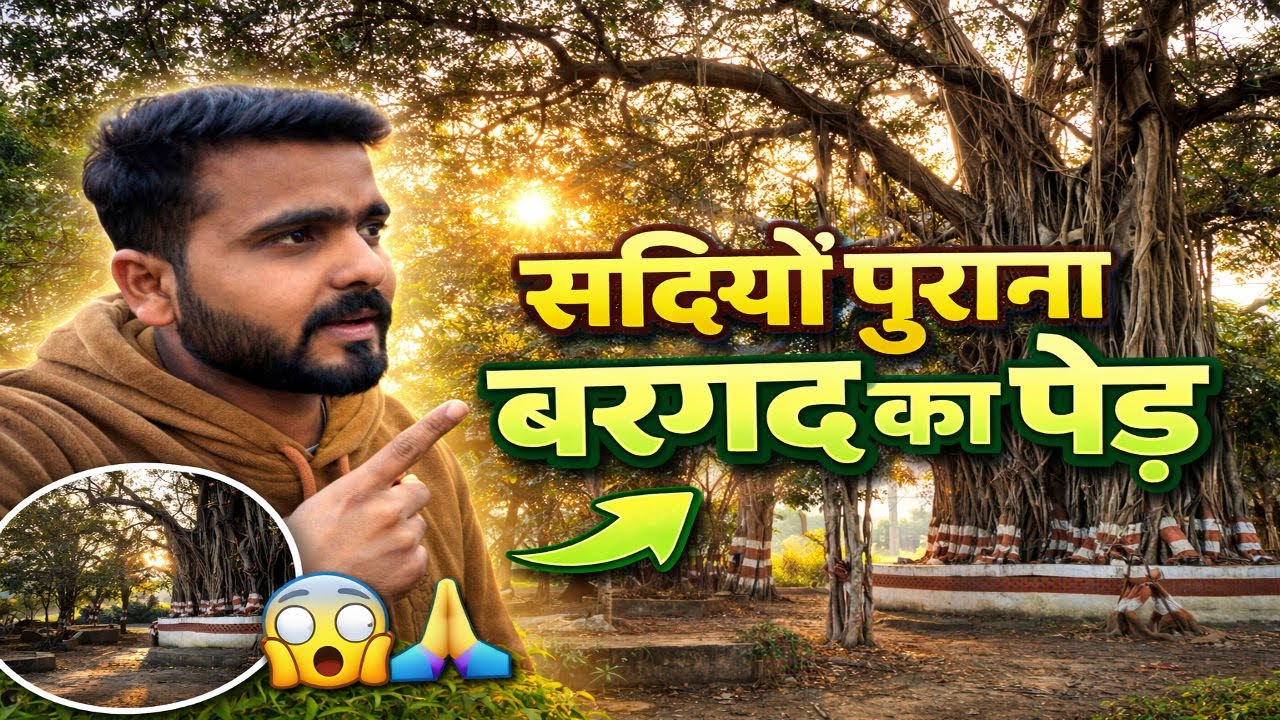 सदियों पुराना बरगद का पेड़ 😱 | रहस्य, इतिहास और चमत्कार | Ancient Banyan Tree India Vlog