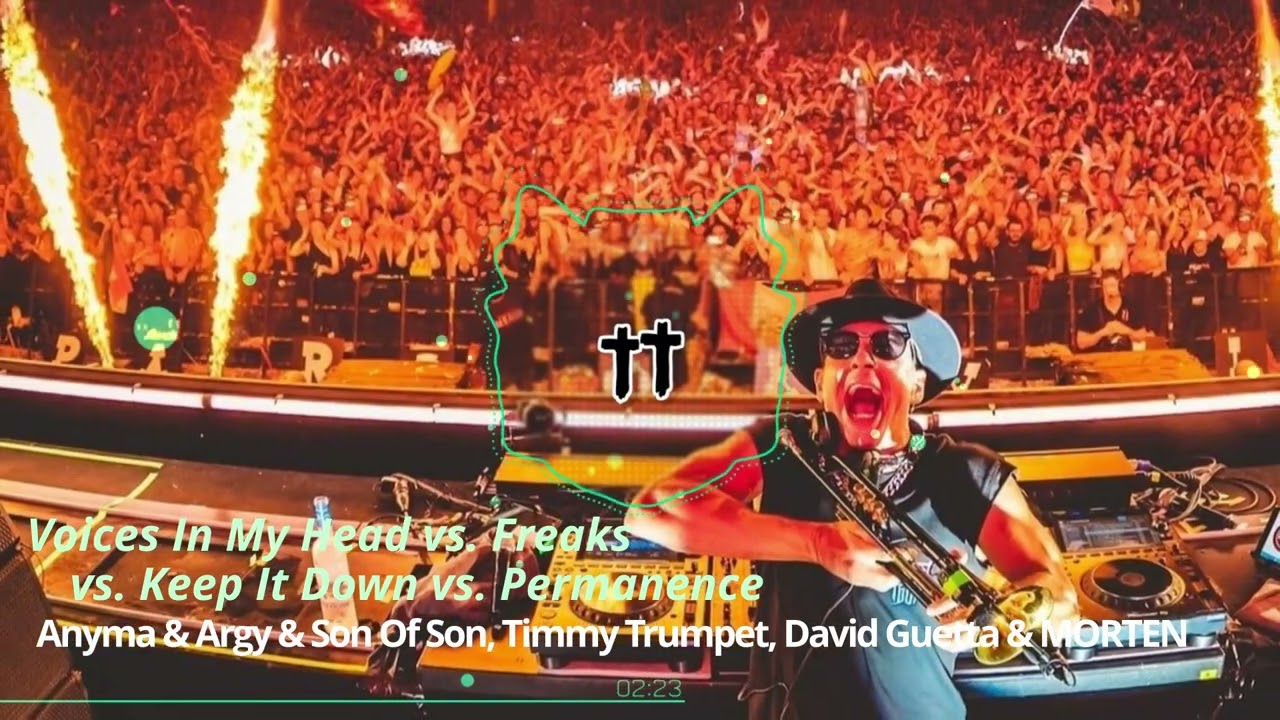 Voices In My Head vs. Freaks vs. Keep It Down vs. Permanence  / Timmy Trumpet 2025 Mashup