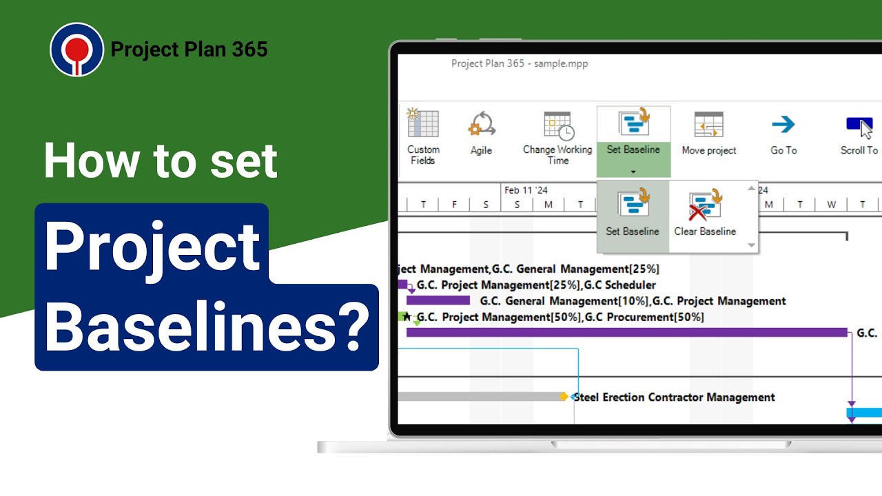 How to set Project Baselines? | Project Plan 365
