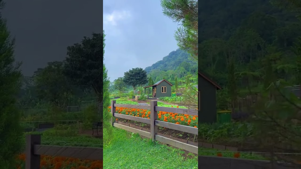 Bali farm house Bedugul #bali #travelvlog #shorts